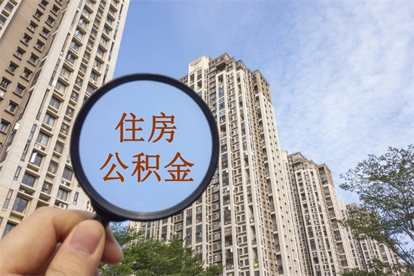 慈利辞职了补充公积金能取不（辞职后补充公积金如何提取）